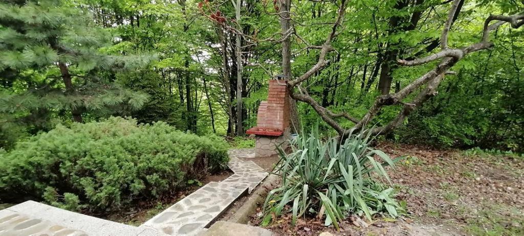 Cabana Din Padurea Valeni Vălenii de Munte Exterior foto